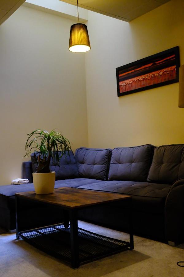 City Apartment Getta Krakow Dış mekan fotoğraf